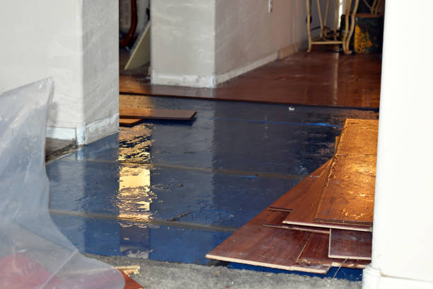 Professional Water Extraction technician working in Palo, MI